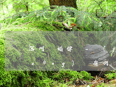 深圳離婚律師-結(jié)婚彩禮與贈(zèng)與有何區(qū)別？